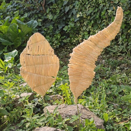 Natural Raffia Leaves